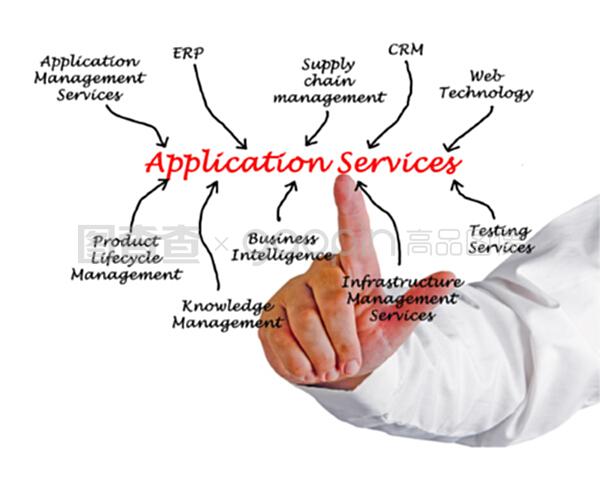 应用服务与技术服务 数字化转型的双引擎
