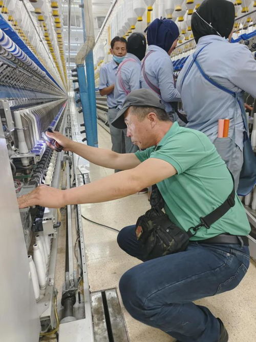 扬帆破浪 重庆金猫2024年出海之路的技术服务战略