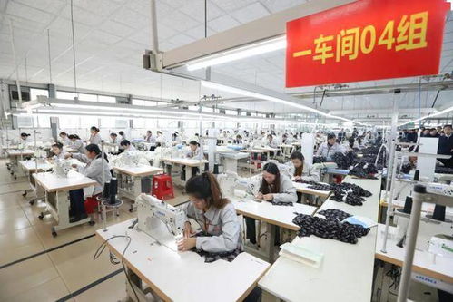 挺起高质量发展的坚实脊梁——全市产业集聚区发展综述与技术服务支撑